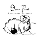 Ocean Pearl Australian Shepherds